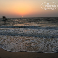 фото из отзыва ID 1487427