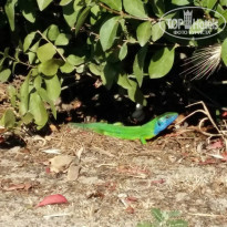 фото из отзыва ID 1487451