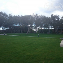 фото из отзыва ID 1487463