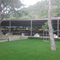 фото из отзыва ID 1487463