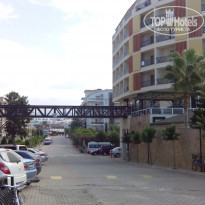 фото из отзыва ID 1487491