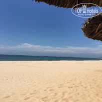 фото из отзыва ID 1487578