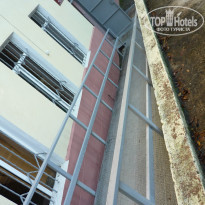 фото из отзыва ID 1487638