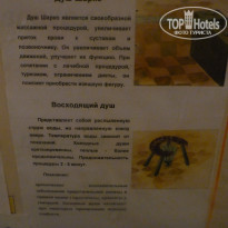 фото из отзыва ID 1487638