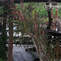 фото из отзыва ID 1487856