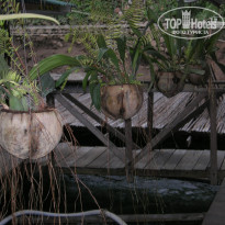 фото из отзыва ID 1487856