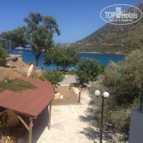 фото из отзыва ID 1487888