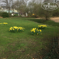 фото из отзыва ID 1488021