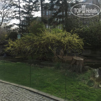 фото из отзыва ID 1488021