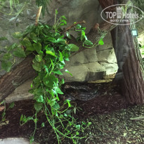 фото из отзыва ID 1488021