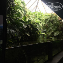 фото из отзыва ID 1488021