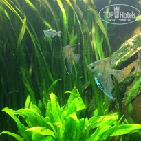 фото из отзыва ID 1488021