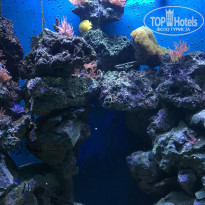 фото из отзыва ID 1488021