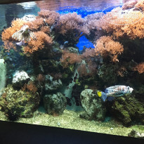 фото из отзыва ID 1488021