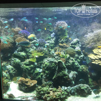 фото из отзыва ID 1488021