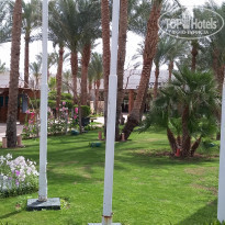 фото из отзыва ID 1488091