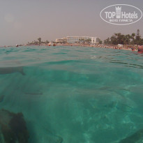 фото из отзыва ID 1488119