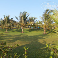 фото из отзыва ID 1488152