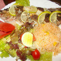 фото из отзыва ID 1488152