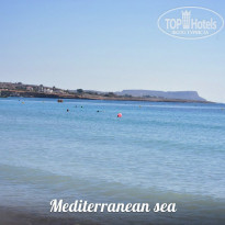 фото из отзыва ID 1488196