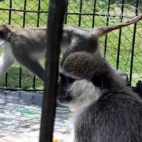 фото из отзыва ID 1488239