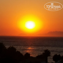 фото из отзыва ID 1488241