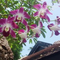 фото из отзыва ID 1488404