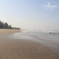 фото из отзыва ID 1488435