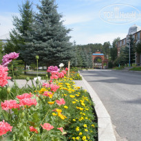 фото из отзыва ID 1488512