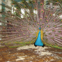 фото из отзыва ID 1488512