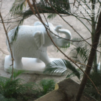 фото из отзыва ID 1488605