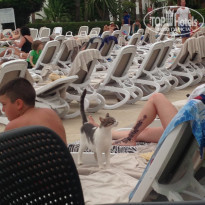 фото из отзыва ID 1488650