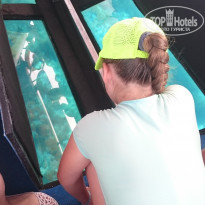 фото из отзыва ID 1488687