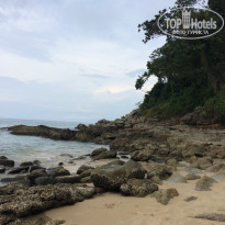 фото из отзыва ID 1488426