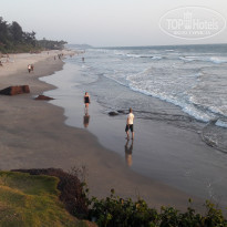 фото из отзыва ID 1488811