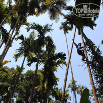 фото из отзыва ID 1488811