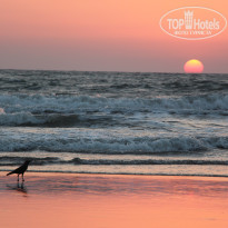 фото из отзыва ID 1488811