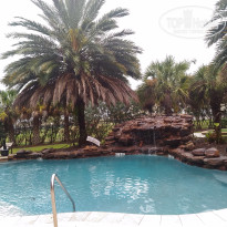 фото из отзыва ID 1488815