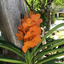 фото из отзыва ID 1488848