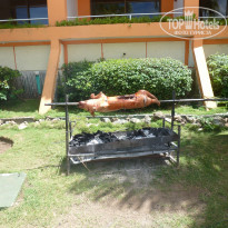 фото из отзыва ID 1488878