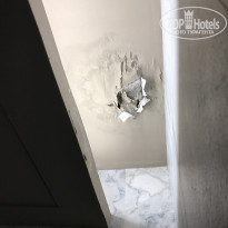 фото из отзыва ID 1488928