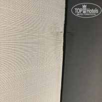 фото из отзыва ID 1488928