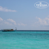 фото из отзыва ID 1488949