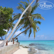 фото из отзыва ID 1488949