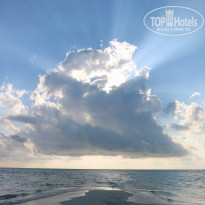 фото из отзыва ID 1488949