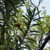 фото из отзыва ID 1488949