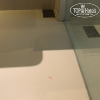 фото из отзыва ID 1488961