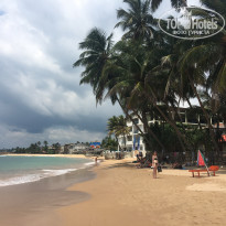 фото из отзыва ID 1489017