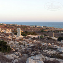 фото из отзыва ID 1489066