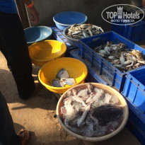 фото из отзыва ID 1489077